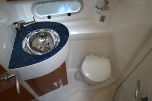 Heads with electric toilet