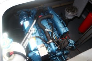 haines 320 engine
